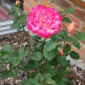 Meet your Posher, Christina